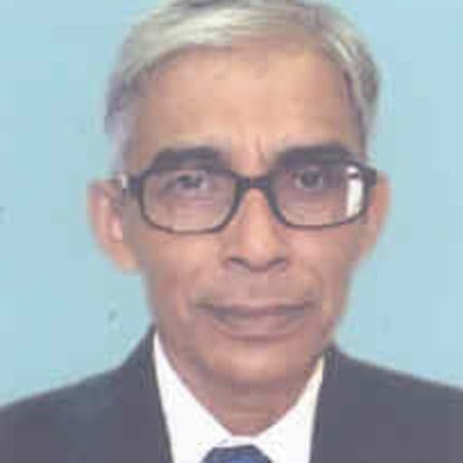 Photo of Dr. Amalendu Sinha